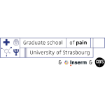 school_of_pain